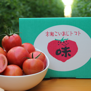 【今が旬】味が濃い！高糖度フルーツトマト"木瀬恋味トマト"