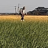 林 幸治