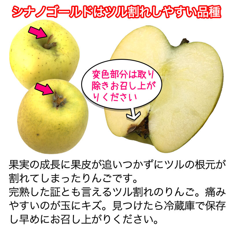 りんご　シナノピッコロ　生食・加工　1.5㎏