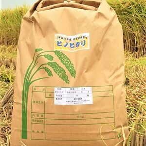 佐賀県みやき町産　新米ヒノヒカリ　白米10㎏　
