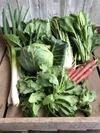 【無農薬】鍋にサラダに旬の野菜Mセット 六月農園