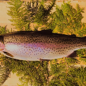 しそう森林(もり)のサーモン