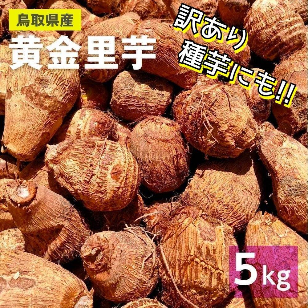 里芋 白 20Ｋg - 野菜