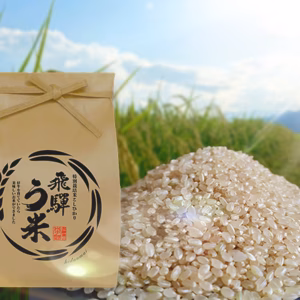 【新米・玄米】特別栽培米コシヒカリ•有機肥料100％・連続特別優秀賞！飛騨う米