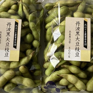 季節限定　丹波黒大豆枝豆　800g 朝採り毛取り洗浄剤
