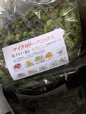 みんなの投稿の画像