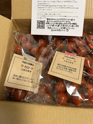 みんなの投稿の画像