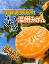 愛媛県明浜産　温州みかん　贈答用　S～2L