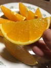 食べ比べセット 農薬未使用はっさく2キロ&ネーブルオレンジ1キロ