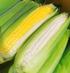 とうもろこし2種 食べくらべセット