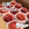 【予約商品】[ Gift use ]  ジュワッと果汁溢れる！ 白桃