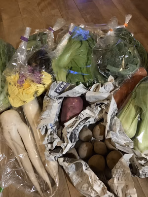 みんなの投稿の画像