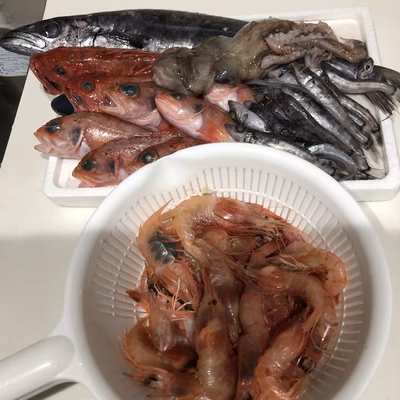 みんなの投稿の画像