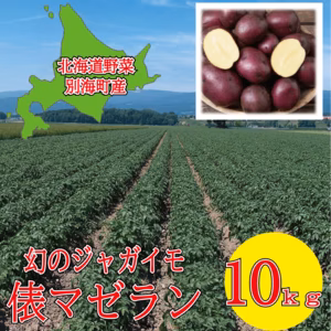 幻のジャガイモ　俵マゼラン 『北海道産』　10ｋｇ