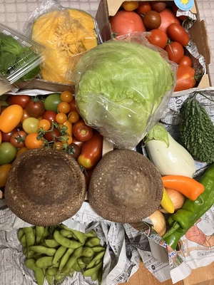 みんなの投稿の画像