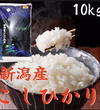 [新米]   新潟県産　コシヒカリゴールド10kg(白米) 高級米　令和5年産