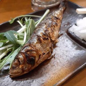 愛知，愛知県産 天然格安‼︎ （脂のり良）【漁師激選】主婦応援パック