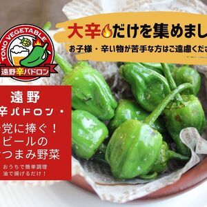 【激辛好きの方必見!!】辛党に捧ぐ次世代スパイス「遠野辛パドロン」
