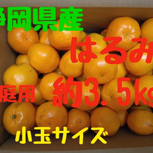 静岡県産　はるみ　家庭用　約3.5㎏