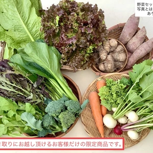 「直接引き取り専用」季節の野菜セット  無農薬・化学肥料“不使用”
