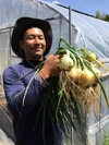 農薬・化学肥料不使用のお任せ野菜セット『常温便』！