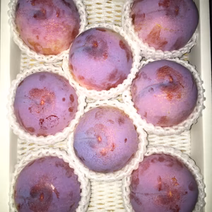 すもも 【貴陽】化粧箱入り