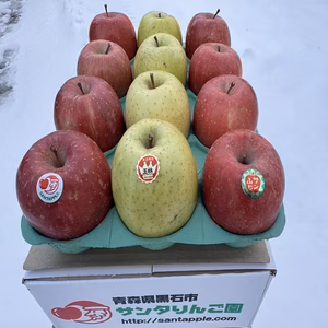 サンふじ＆王林　家庭用　クリスマスカラーの詰合せをサンタりんご園よりお届け