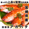 【宮崎県産】上品な味わいの朝どれ高級魚「アカハタ」
