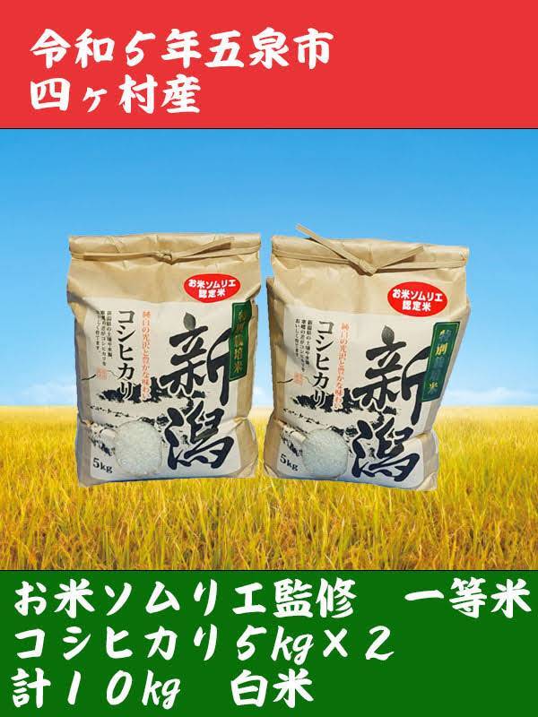 特別栽培米•5年産新潟コシヒカリ小分け3袋 農家直送 玄米25㌔か白米