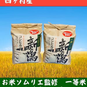 新米令和5年産❇️味に自信あり❇️新潟特栽米コシヒカリ5k×2 10k5000円