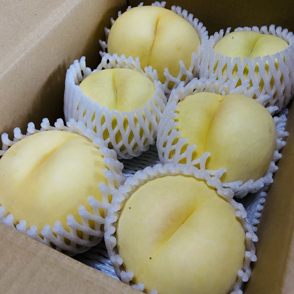 もちづき(1)ももマニア必見♡マイナー桃♡山形県産もも♡｜果物の商品詳細｜ポケットマルシェ｜産直(産地直送)通販 旬の果物・野菜・魚介をお取り寄せ