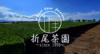 新茶のみ使用 知覧茶100g 深蒸し煎茶 茶農家が販売するお茶１番茶100%使用