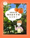 最終です☆富有柿☆家庭用大容量Mサイズ二段３６個入り（7.0キロ超）