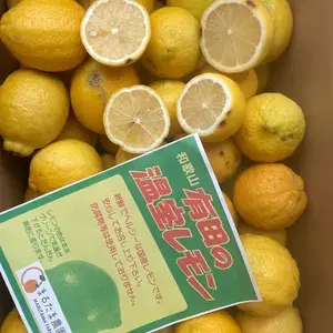 減農薬国産レモン まるたま農園のハウスレモン