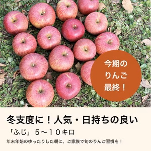 人気・日持ちの良い品種「ふじ」 ５kg・１０kg