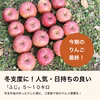 人気・日持ちの良い品種「ふじ」 ５kg・１０kg