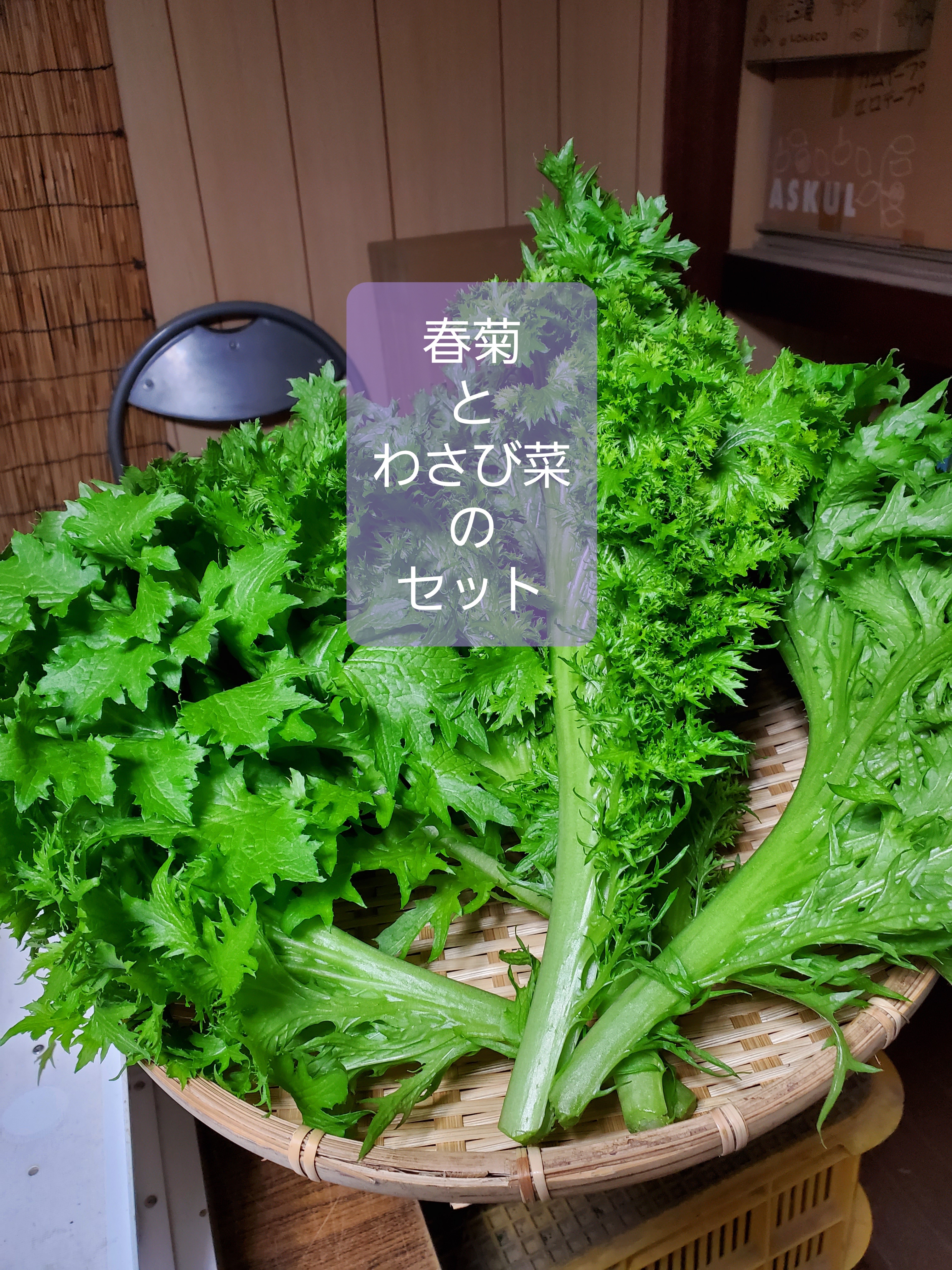 お鍋とサラダのコラボレーション サラダ春菊とサラダわさび菜のセット 農家漁師から産地直送の通販 ポケットマルシェ