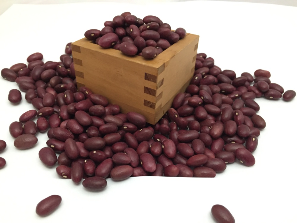 煮豆で美味しい大正金時豆 5kg | 農家漁師から産地直送の通販 ポケットマルシェ