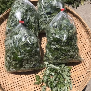 ド天然生よもぎ