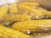 朝採り☀️弾けるおいしさ！ とろける甘さのわくわくコーン
