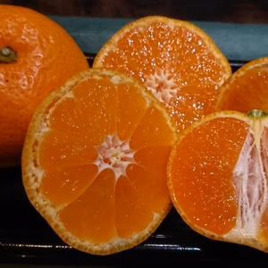 長崎産　早生みかん