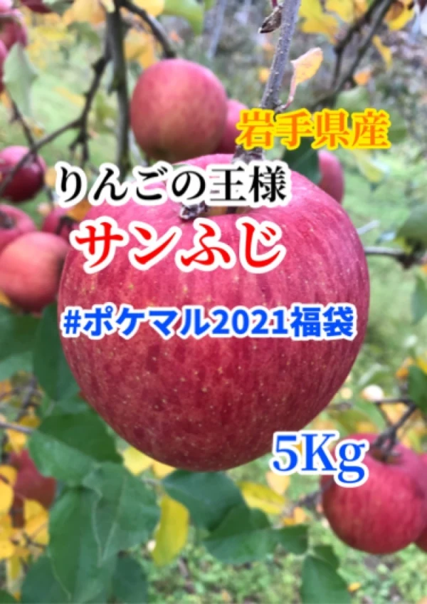 【 #ポケマル2021福袋】【蜜入り保証なし】サンふじ 完熟りんご　5kg