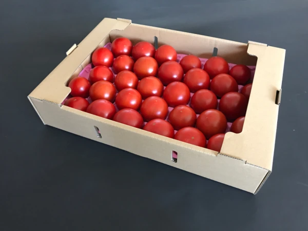 化学肥料・農薬完全不使用　高糖度トマト 3kg　安心安全　青森産