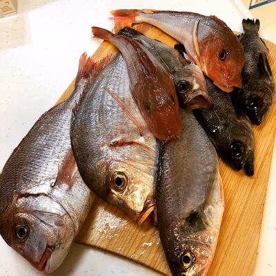 みんなの投稿の画像