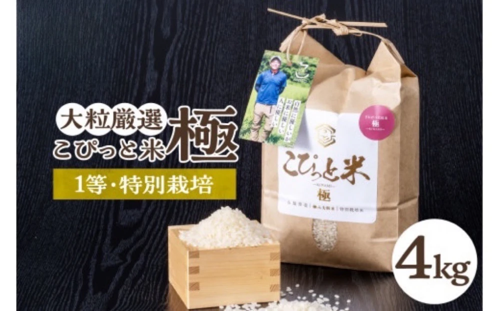 こぴっと米【極】大粒厳選特別栽培米2Kg✖️6袋・12Kg新米