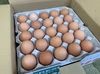 【たまご定期便】こだわりのふくたまご（規格外）25個を毎月お届け！