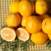 マイヤーレモン 家庭用箱込3キロ〜酸とビタミンたっぷり〜