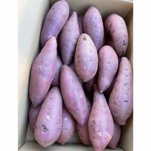 【2025新蜜芋】紅はるかA品10kg (S・M混合サイズ) 千葉県産