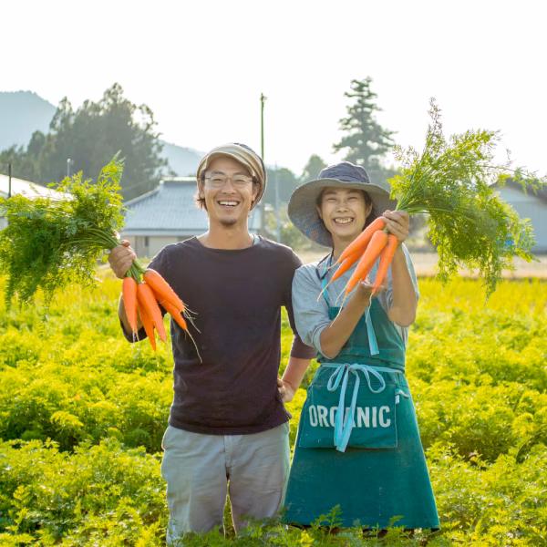 【10kg】めっちゃ甘い！！栄養たっぷり！！農薬・化学肥料不使用にんじん　