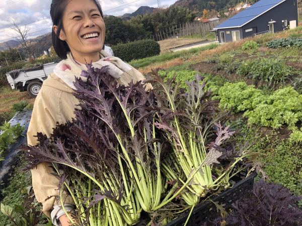 【1日1組限定！あなたのためだけ♡】わがまま叶えるべっぴんやさいセット